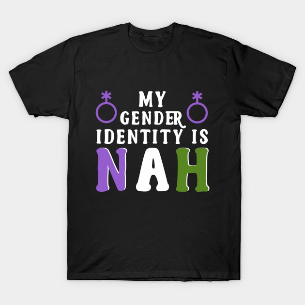 My Gender Identity is Nah Queer Pride T-Shirt by HamilcArt